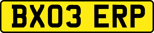 BX03ERP