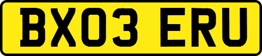 BX03ERU