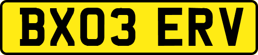 BX03ERV