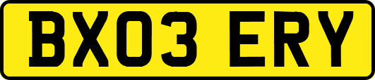 BX03ERY