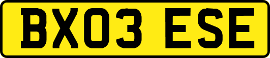 BX03ESE