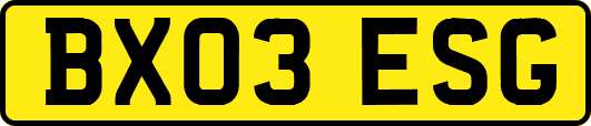 BX03ESG