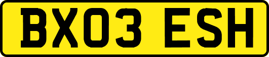 BX03ESH