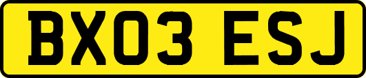 BX03ESJ