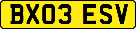 BX03ESV