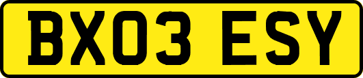 BX03ESY