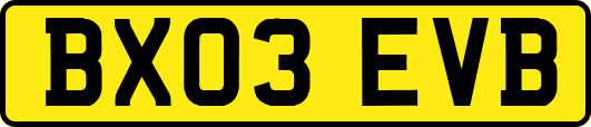 BX03EVB