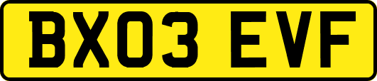 BX03EVF