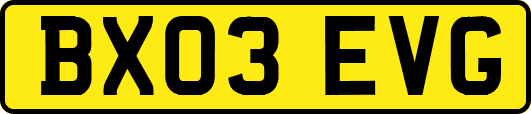 BX03EVG