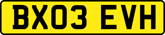 BX03EVH