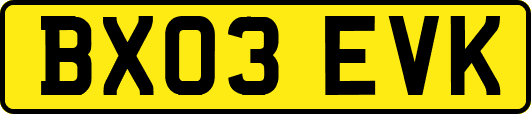 BX03EVK