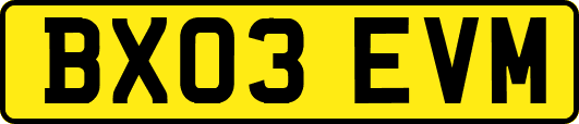 BX03EVM