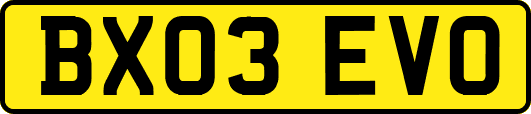 BX03EVO