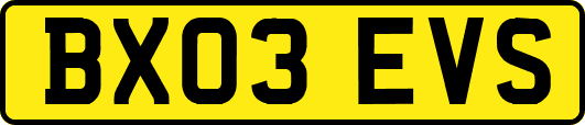 BX03EVS