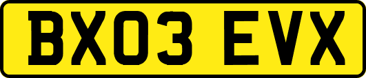 BX03EVX
