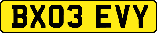 BX03EVY