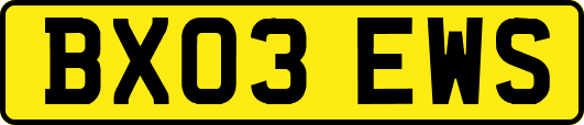 BX03EWS