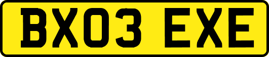 BX03EXE