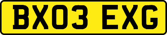 BX03EXG