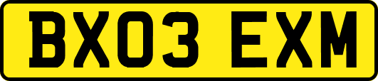 BX03EXM