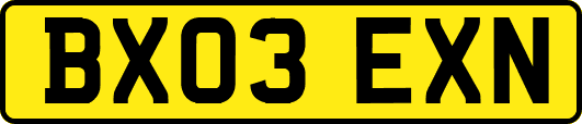 BX03EXN