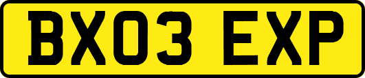 BX03EXP