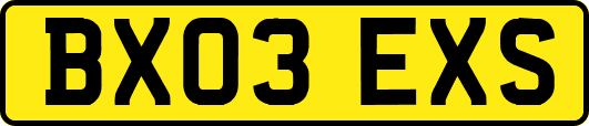 BX03EXS