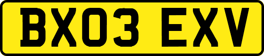 BX03EXV