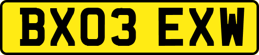 BX03EXW