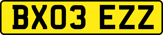 BX03EZZ