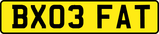 BX03FAT
