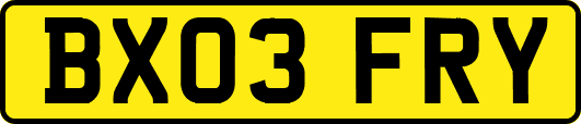 BX03FRY