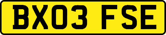 BX03FSE