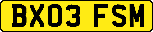 BX03FSM