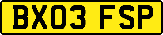 BX03FSP