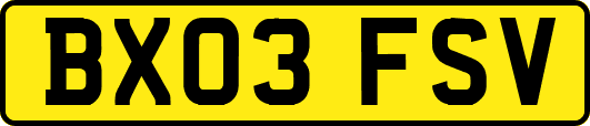 BX03FSV