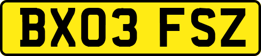 BX03FSZ