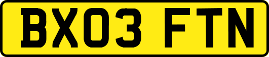 BX03FTN