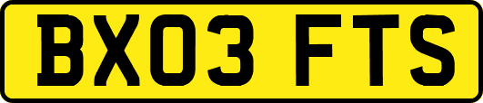 BX03FTS
