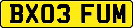 BX03FUM