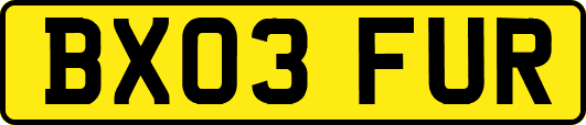 BX03FUR