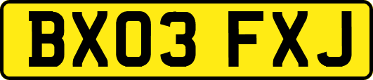 BX03FXJ