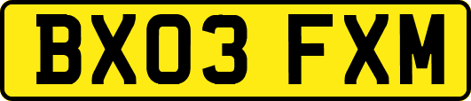 BX03FXM