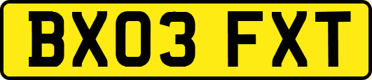 BX03FXT