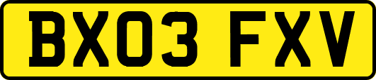 BX03FXV