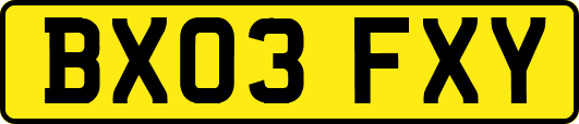 BX03FXY