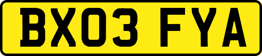 BX03FYA