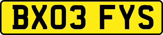 BX03FYS