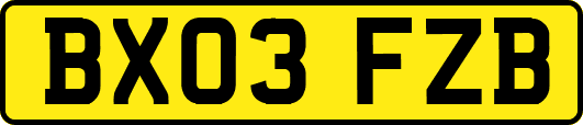 BX03FZB