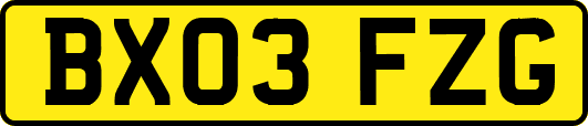BX03FZG